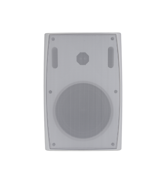 GLEMM BS 205WT | 100V and 8 Ohm Speaker - 65W