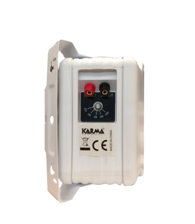 GLEMM BS 54WT | Multi-impedance speakers, 2 x 32W