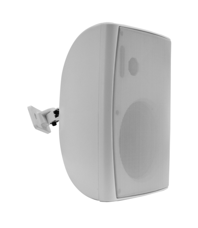 GLEMM BS 205WT | 100V and 8 Ohm Speaker - 65W