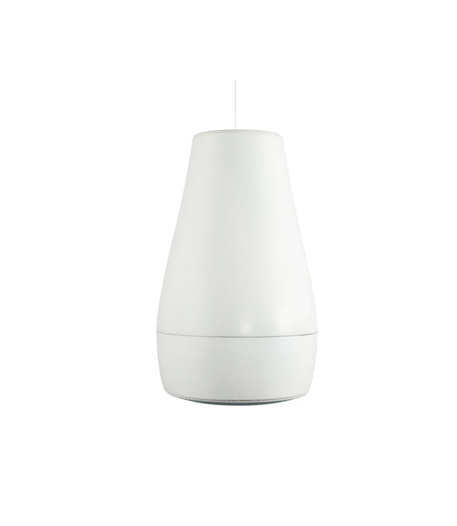 Biamp P6 -  Pendant, Indoor/Outdoor 6.5" Coaxial Loudspeaker, Raindrop Profile