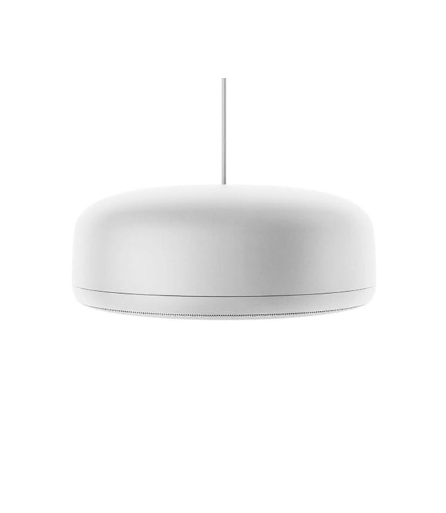 Biamp P6SM - Pendant, Indoor/Outdoor 6.5", Sunshine Profile