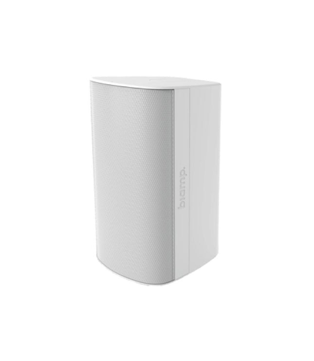 Biamp EX-S10SUB-CM - 10-inch, surface mount, indoor/outdoor white subwoofer