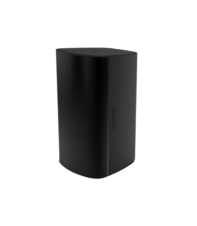 Biamp EX-S10SUB-CM - 10-inch, surface mount, indoor/outdoor black subwoofer