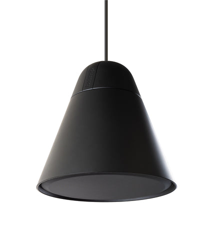 Biamp/Desono PA30DT 4.5"" two-way Pendant Loudspeaker