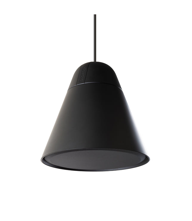Biamp/Desono PA30DT 4.5"" two-way Pendant Loudspeaker