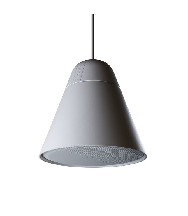 Biamp/Desono PA30DT 4.5"" two-way Pendant Loudspeaker